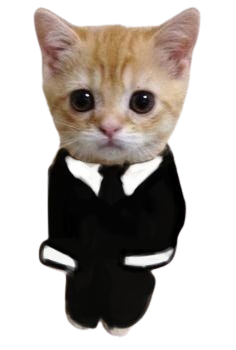 Ginger the cat in a suit