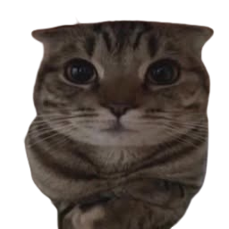 Sherbet the bad cat